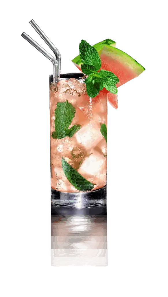 Reflejo difuminado 08. Vaso Mojito Sandia.webp